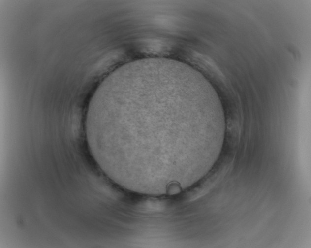 X0000115070416200911101307