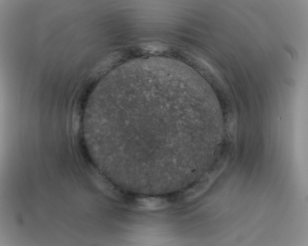 X0000115070417200911101307