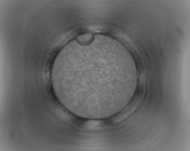 X0000115070418200911101307