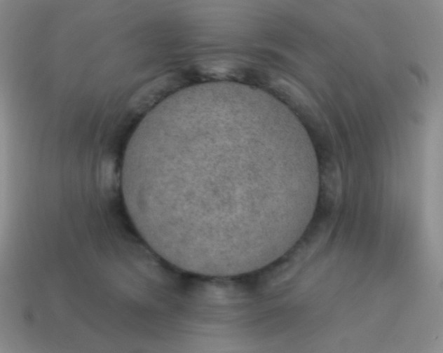 X0000115070420200911101307