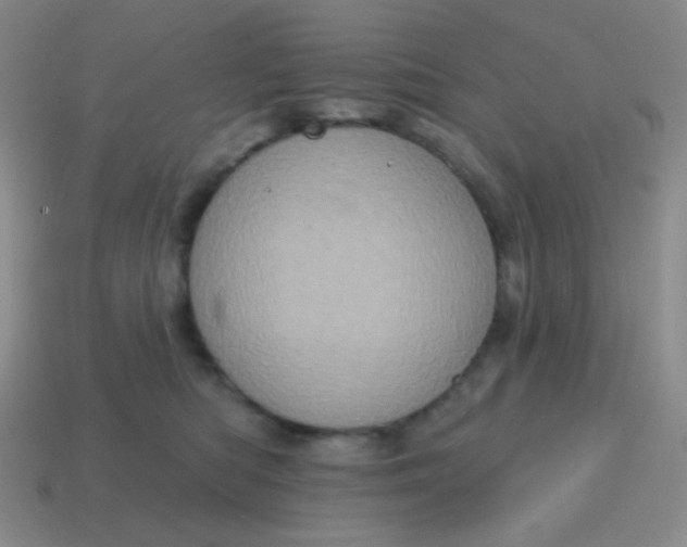 X0000115070422200911101307