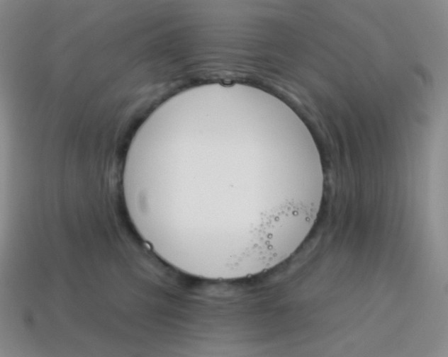X0000115070423200911101307