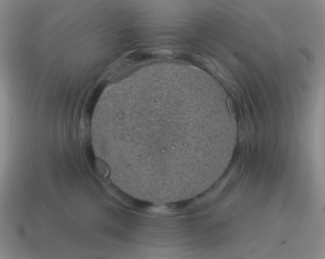 X0000115070425200911101307