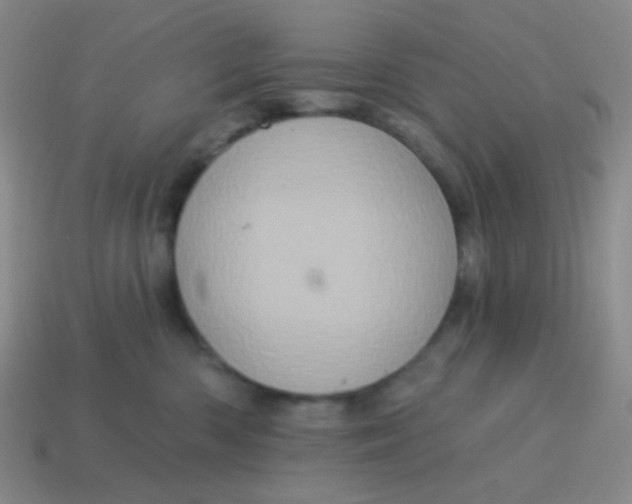X0000115070426200911101307