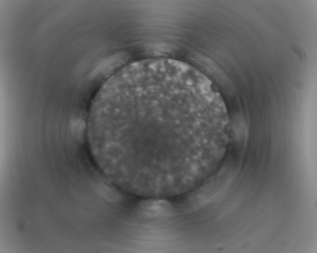 X0000115070427200911101307
