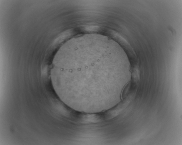 X0000115070428200911101307