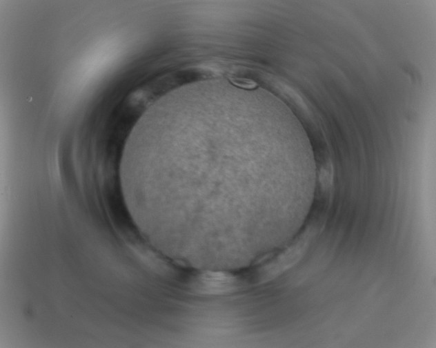 X0000115070429200911101307