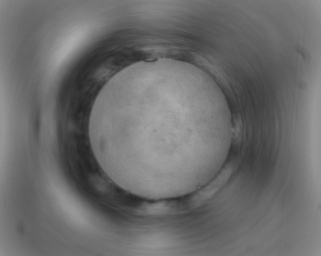 X0000115070430200911101307