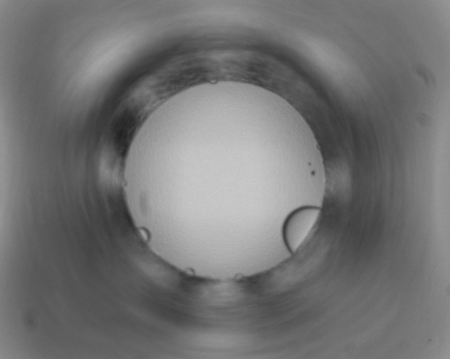 X0000115070431200911101307