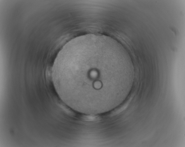 X0000115070432200911101307