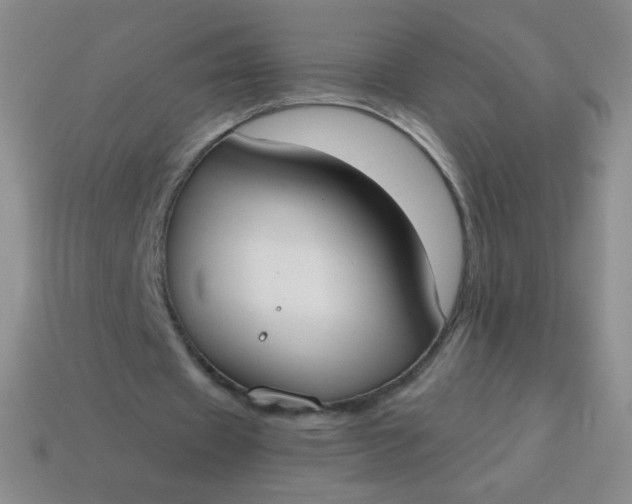 X0000115070433200911101306
