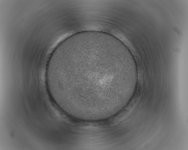 X0000115070434200911101306