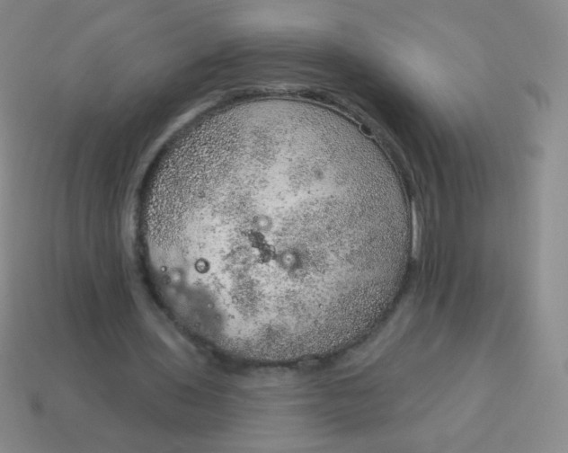 X0000115070435200911101306