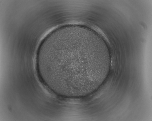 X0000115070436200911101306