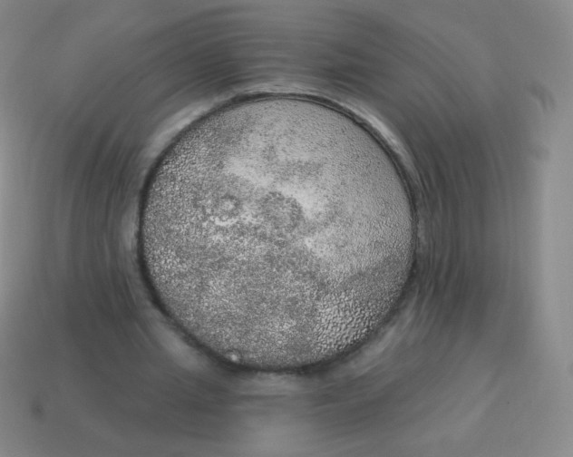X0000115070437200911101306