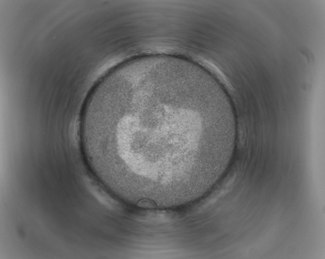 X0000115070439200911101306