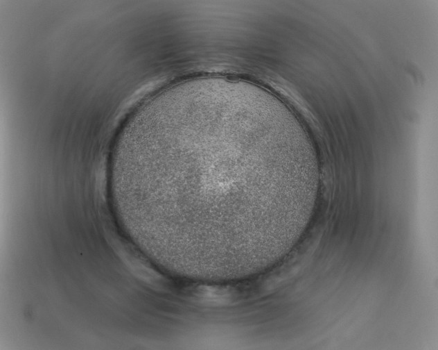 X0000115070442200911101306