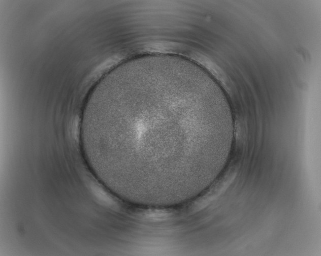 X0000115070445200911101306