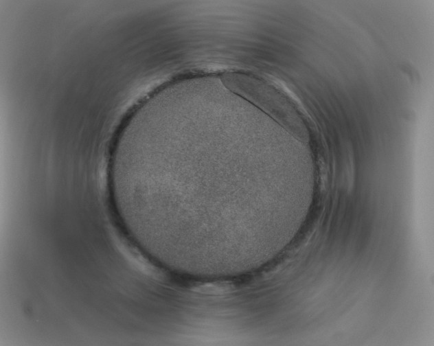 X0000115070447200911101306