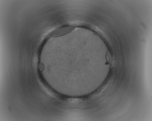 X0000115070448200911101306