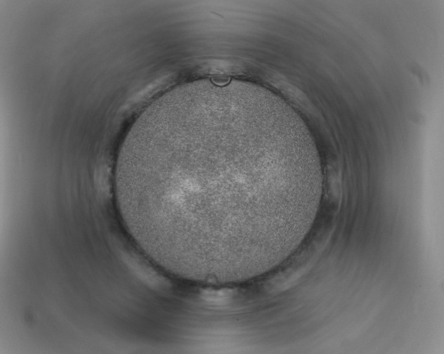 X0000115070450200911101306
