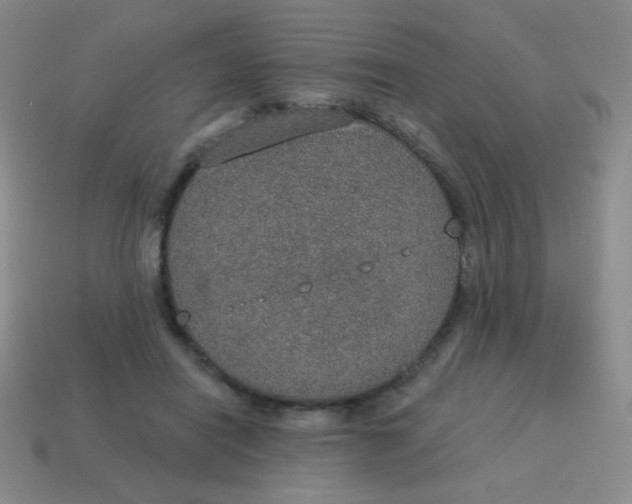 X0000115070454200911101306