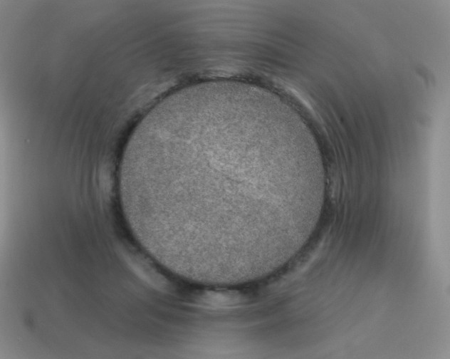 X0000115070455200911101306