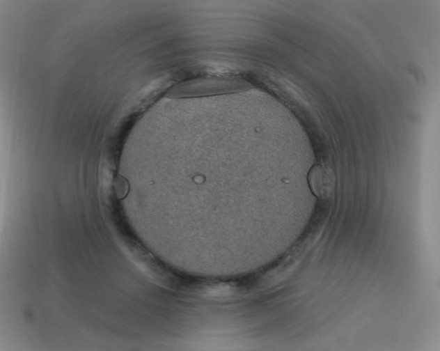 X0000115070456200911101306