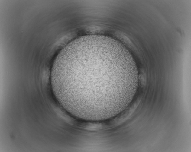 X0000115070458200911101306