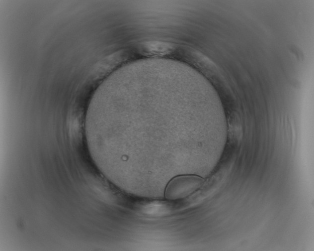 X0000115070460200911101306