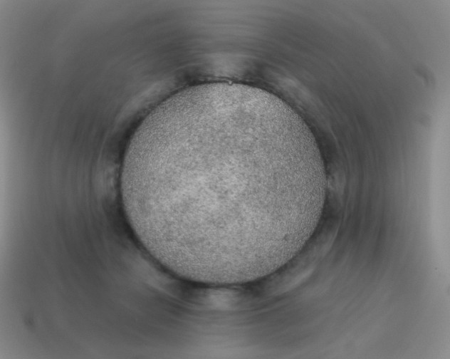 X0000115070462200911101306