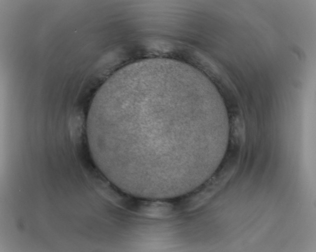 X0000115070463200911101306