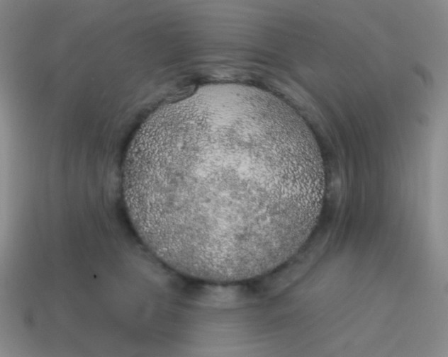X0000115070469200911101306