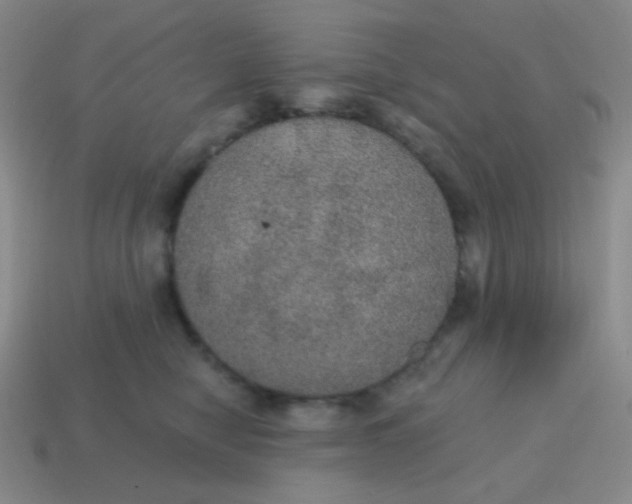 X0000115070470200911101306