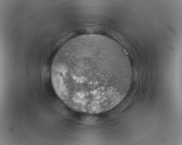 X0000115070471200911101306