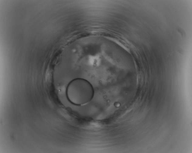 X0000115070475200911101306