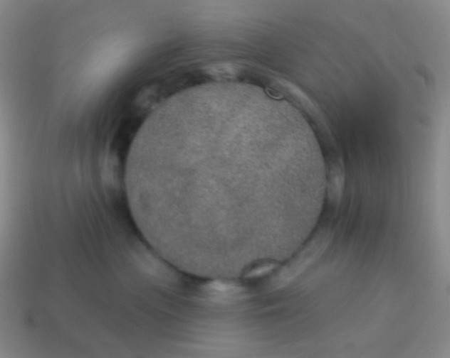 X0000115070477200911101306