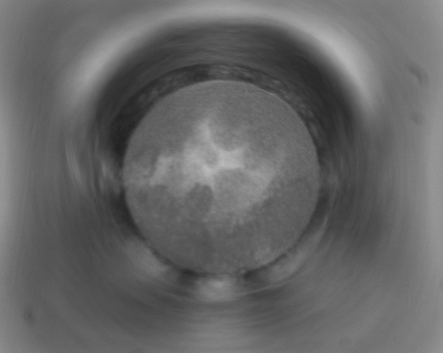 X0000115070479200911101306