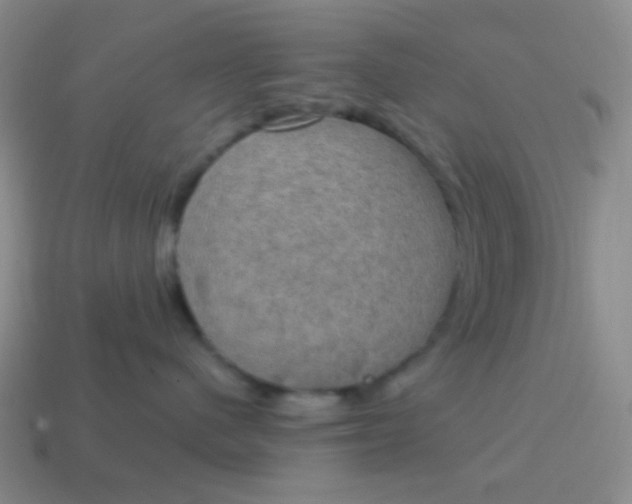 X0000115070480200911101307