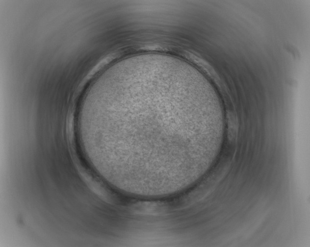 X0000115070482200911101306