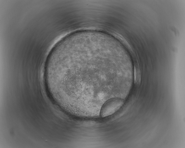X0000115070483200911101306