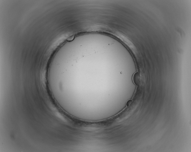 X0000115070485200911101306