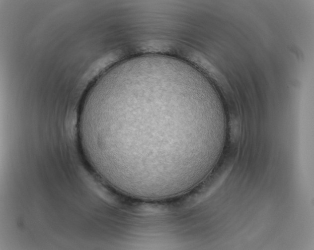 X0000115070490200911101306