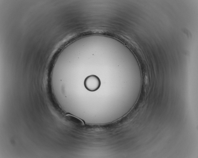X0000115070492200911101306