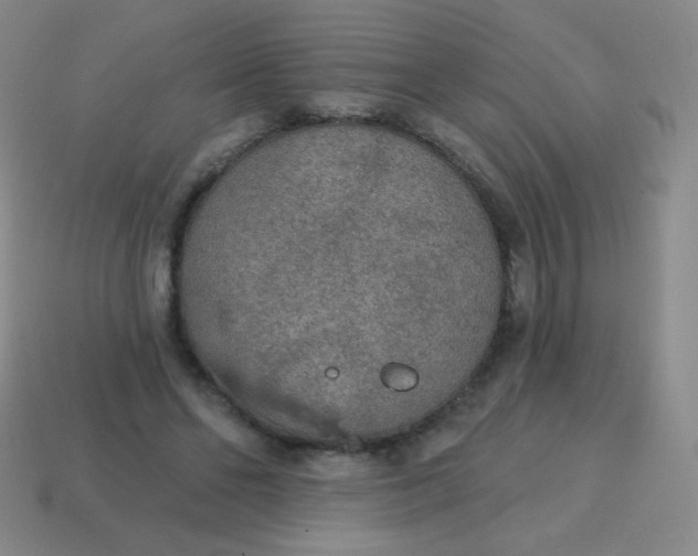 X0000115070494200911101306