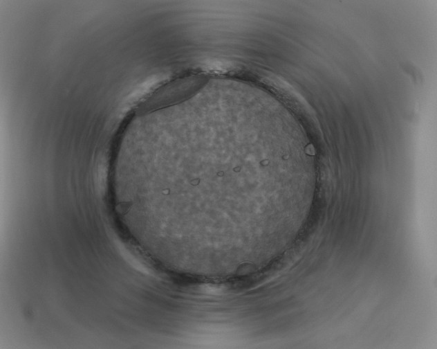 X0000115070496200911101306