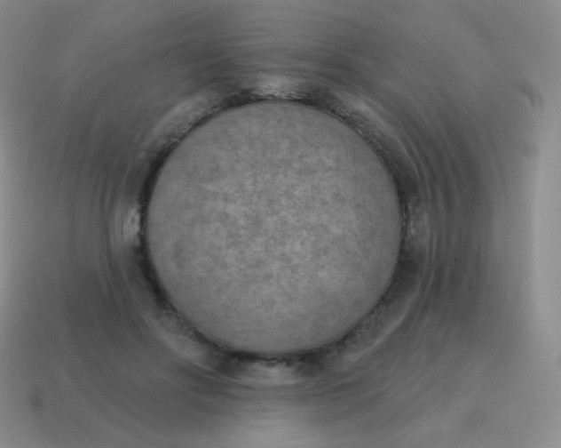 X0000115070502200911101305