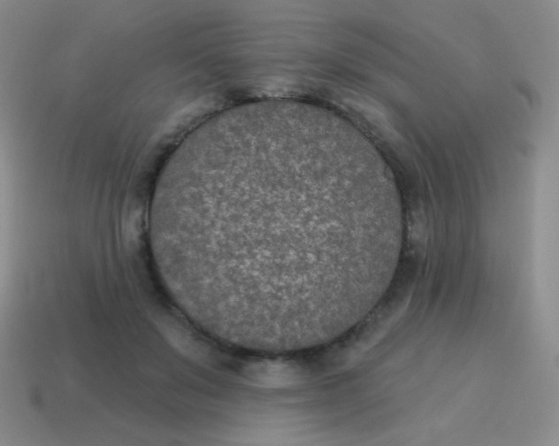 X0000115070503200911101305
