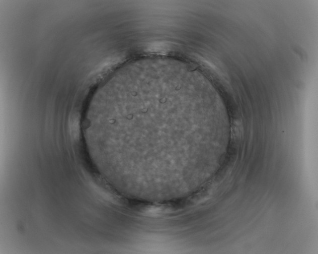 X0000115070504200911101305