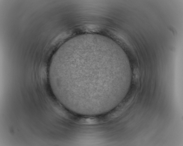 X0000115070506200911101305